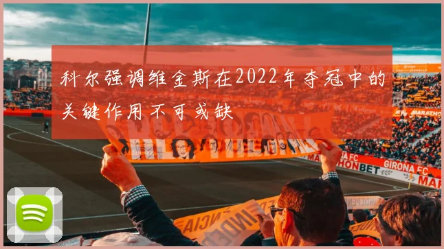 科尔强调维金斯在2022年夺冠中的关键作用不可或缺