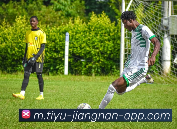 江南体育服务体系